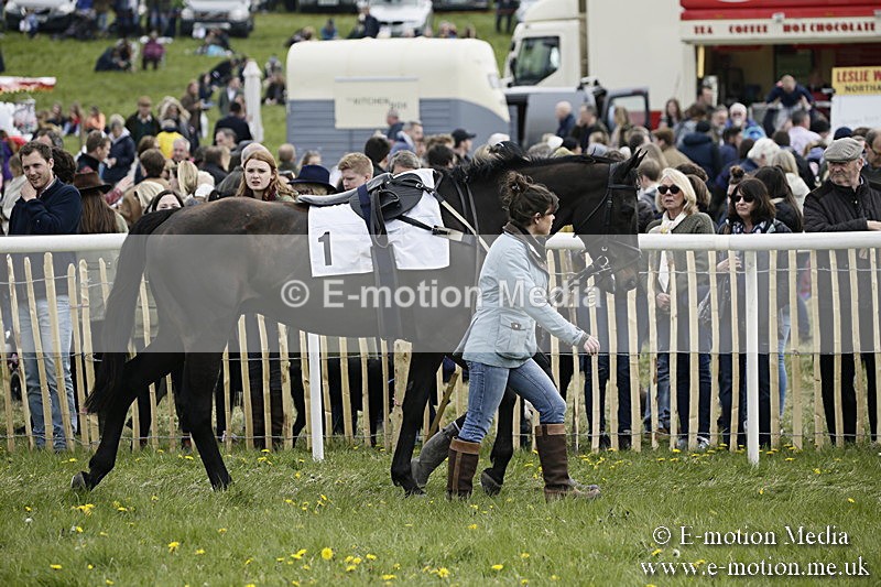 PtP 170417 215 - Old Berks Point-to-Point Lockinge 17/04/17