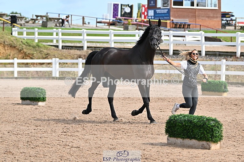 240717A-161624-03396 - Trot Up 4pm to 5pm