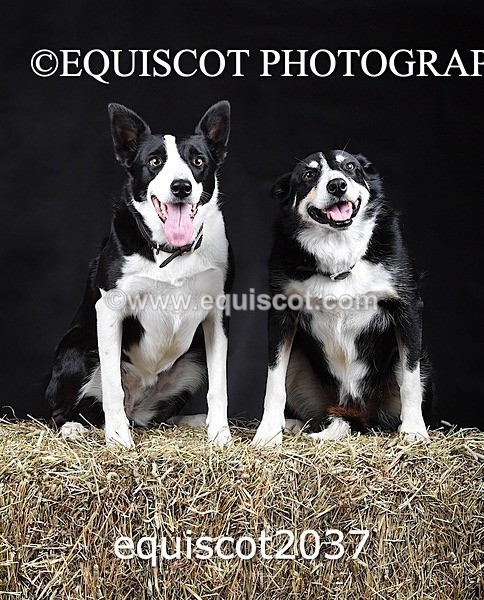 equiscot2037 - SKY & NELL