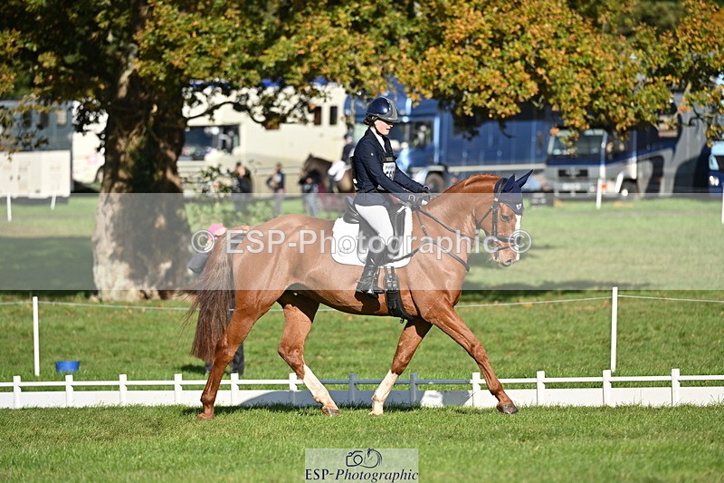 251024A-105237-08453 - G-560-Josie.Dix