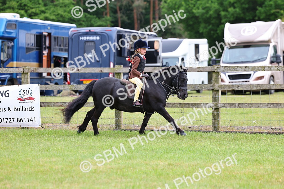 SBM_09693 - Class 44-45 - LIHS BSPS Open Nursery and Cradle Stakes
