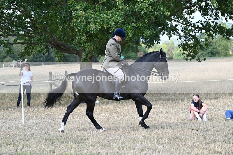 WJ7_6405 - Class 13 Ridden Veterans