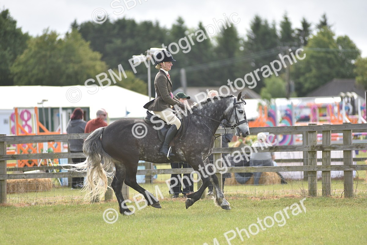 SBM_12160 - Class 110-112 - LIHS BSPS Performance Pones