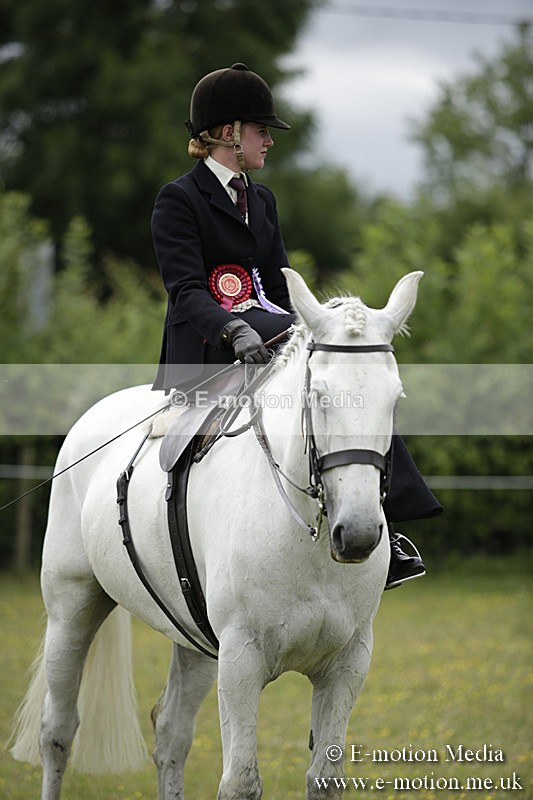 BVR160717-2014 - Side Saddle Classes 16/07/17