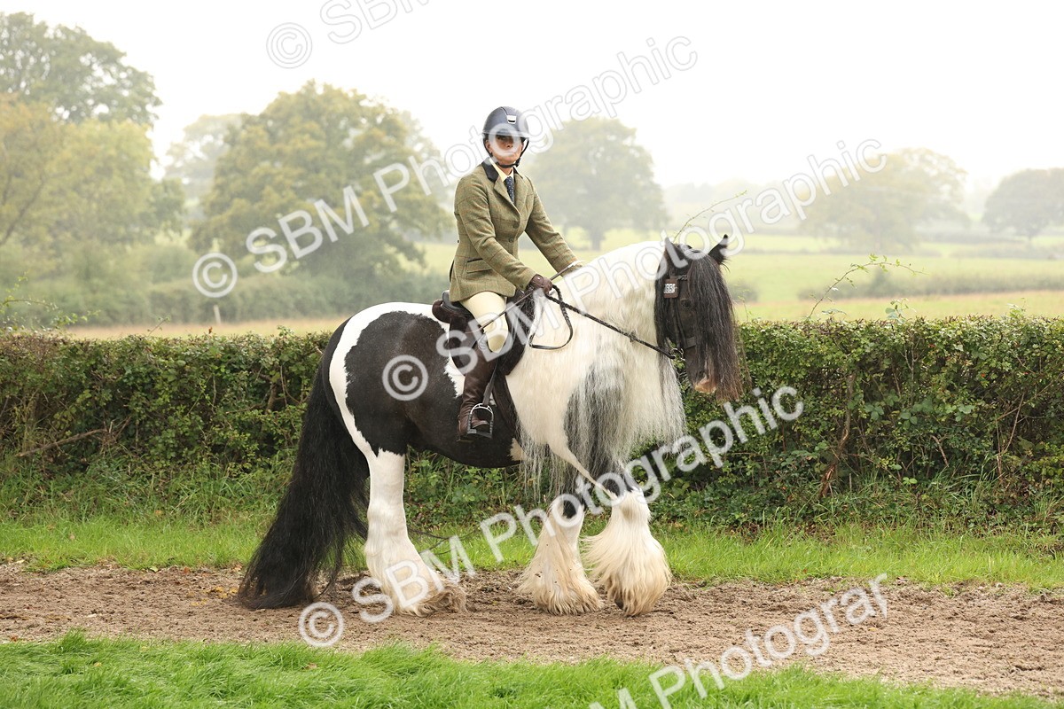 SBM_72660 - S70 - Traditional Cob Ridden