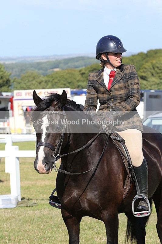 1X9A6058 - Class 43: NPS Welsh C & D