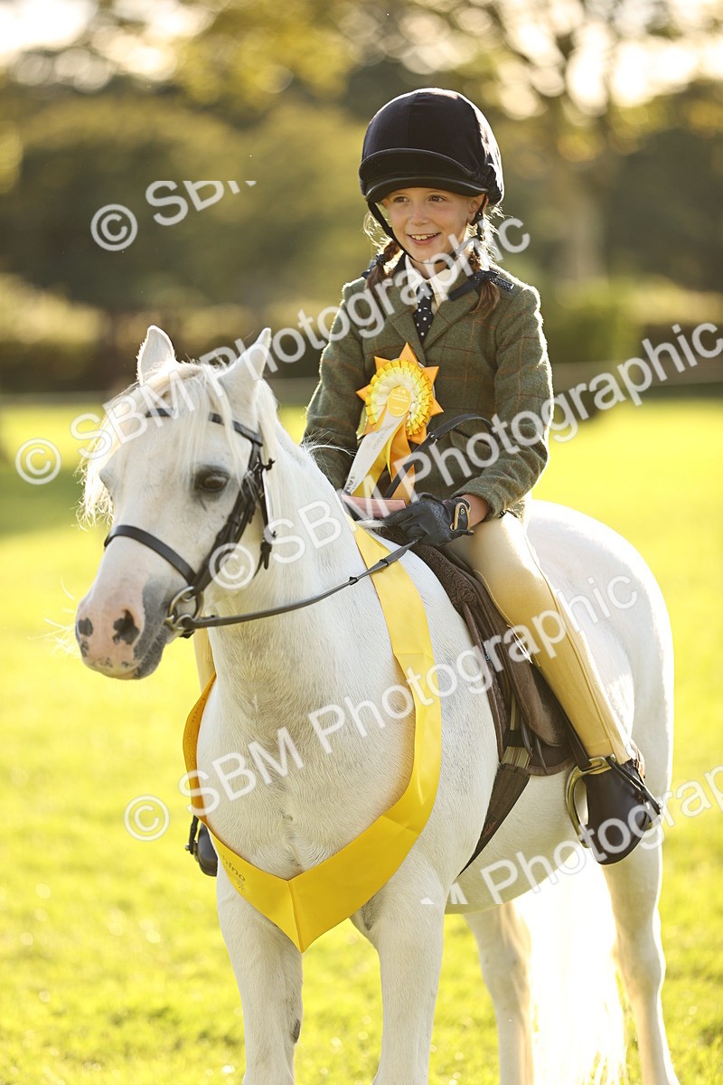 SBM_29493 - S7 - Novice & Newcomers Ridden Pony