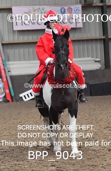 BPP_9043 - CLASS 3 50CM-70CM Pairs Show Jumping