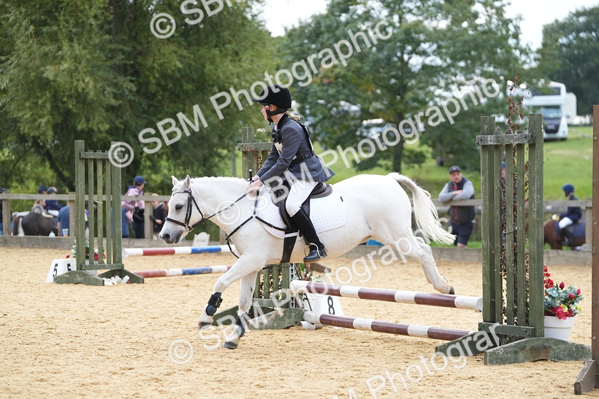 SBM_74783 - J4 - Mini Tour Junior Pony 45cm Championship