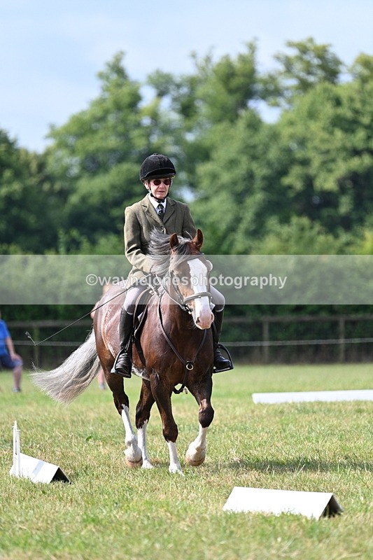 WJ7_1915 - Time 09:24 to 09:49