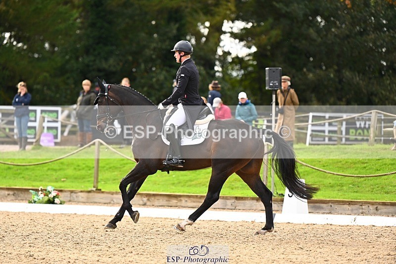 231021-135330-17733 - 351-MOONLIGHT.CHARMER-Aaron.Millar-DR