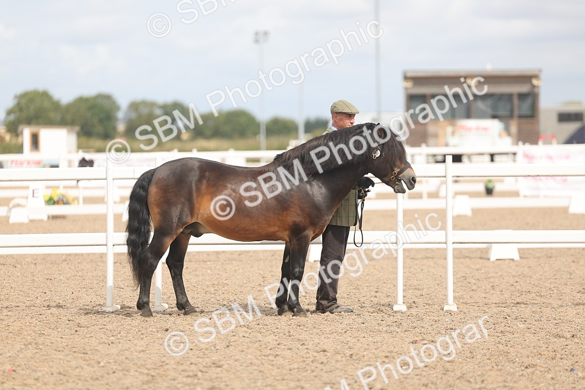SBM_04925 - Class 20 - IH Veteran