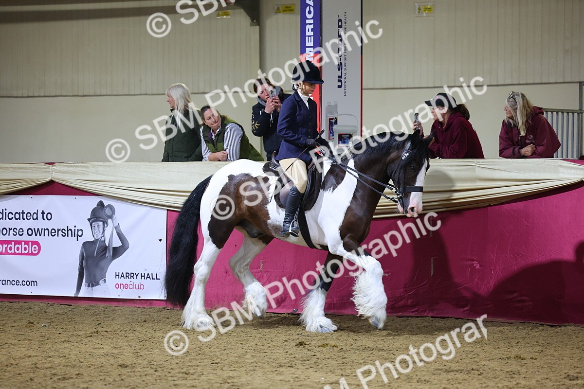 0B8A4627 - Class R Working Veteran Champ