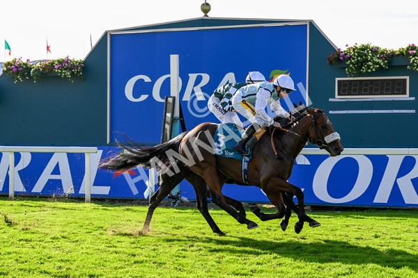 111025-Race 3-Laazm-0362 - Race 3 Coral 'Daily Reward Shaker' For Free Nursery Handicap at York