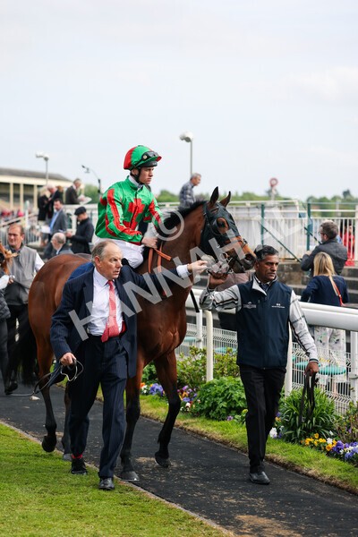 yr13052022r7-17 - Race 7 5.15pm Longines Irish Champions Weekend Stakes