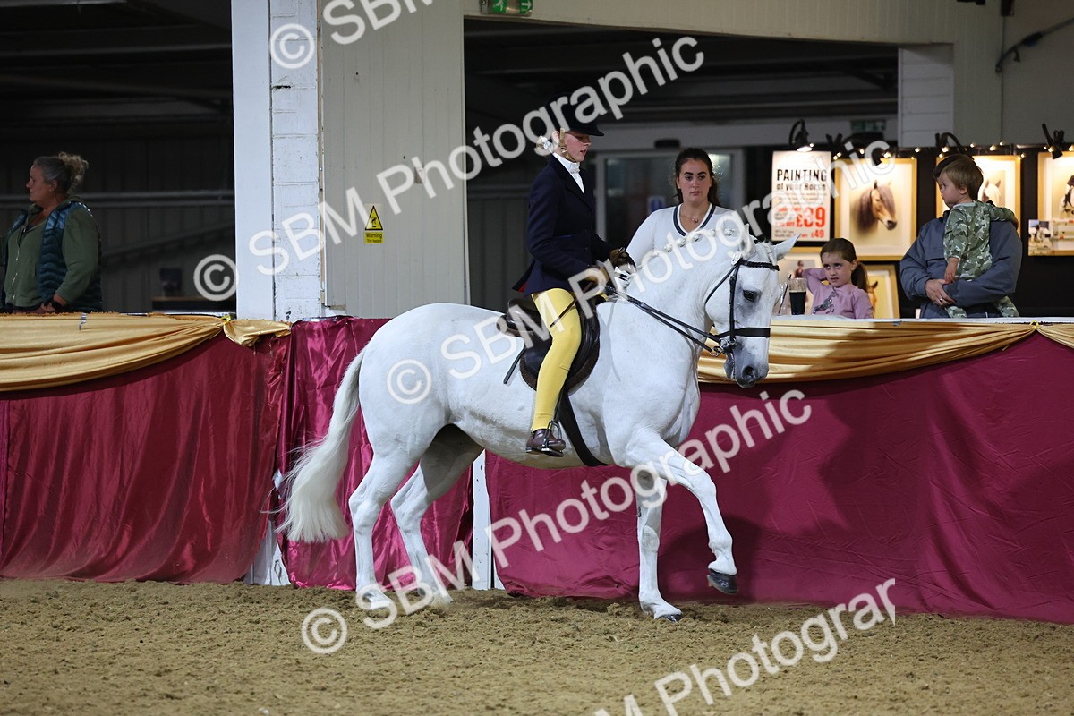 0B8A4634 - Class R Working Veteran Champ