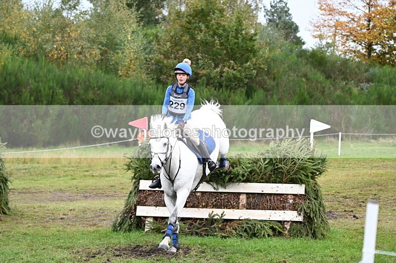 WJ6_3751 - 90cm Cam 1 Time 13:35 to 14:03