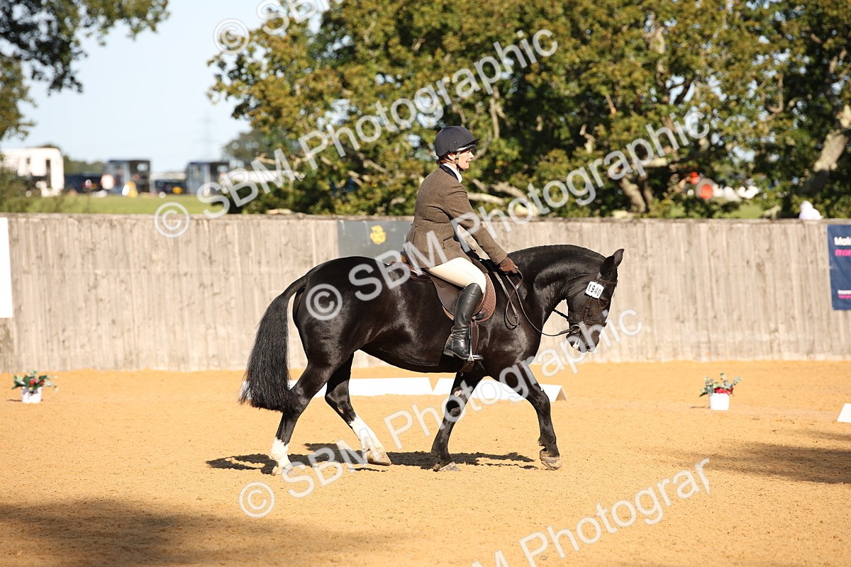 SBM_18313 - D31 - Grand Tour - PYO Open