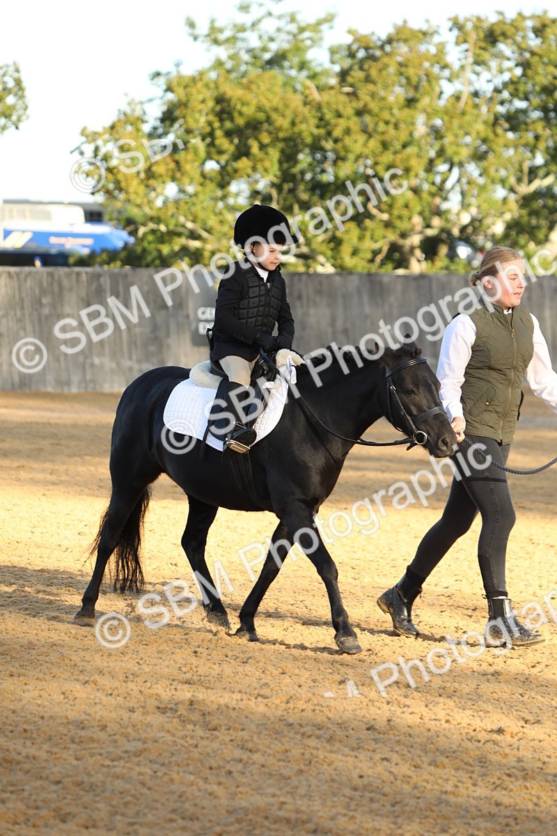 SBM_33561 - D26 - Starers - Lead Rein