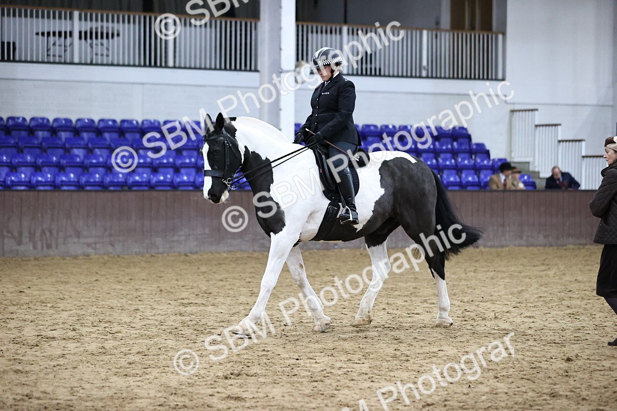 SBM_6364 - Class 45-42 - Ridden Irish Breeds-Ridden Cob