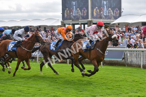 yr18082021r5-68 - Race 5 4.10pm Sky Bet Stakes