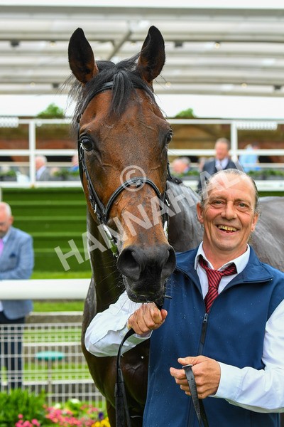 180523-Race 7-Chesspiece-0919 - Race 7 5.20pm Collective Green Energy Handicap