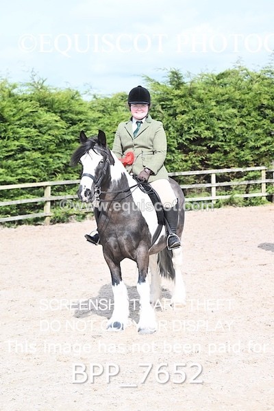 BPP_7652 - RING 1  (RIDDEN HORSES / IN HAND / VETERAN ETC)