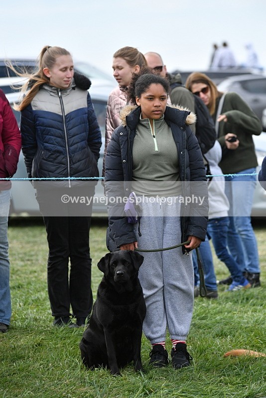 WJ5_0140 - Class 5 Best Veteran / 7 years & over