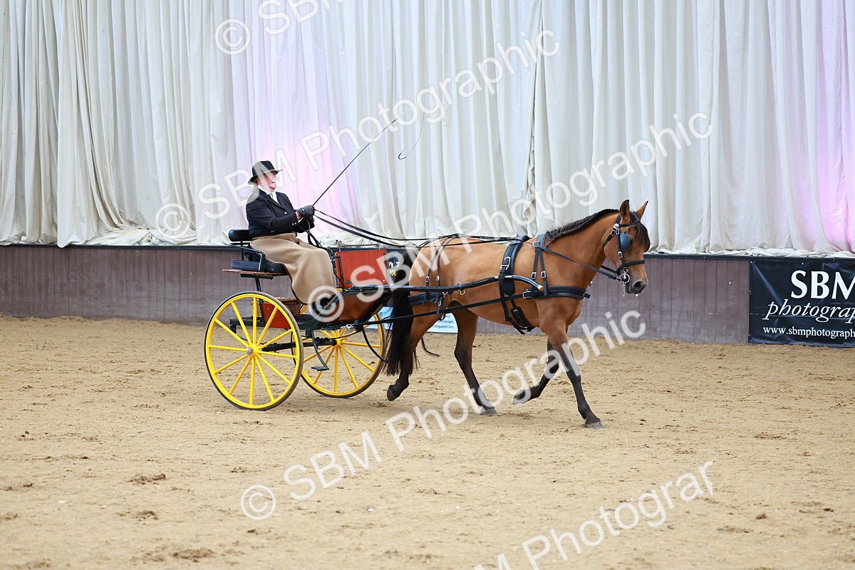 SBM_001056 - Class 15 - Open Showmans Class