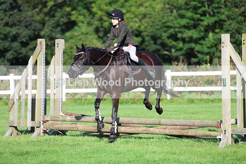 3E7A7480 - Class 1: Novice Working Hunter Pony