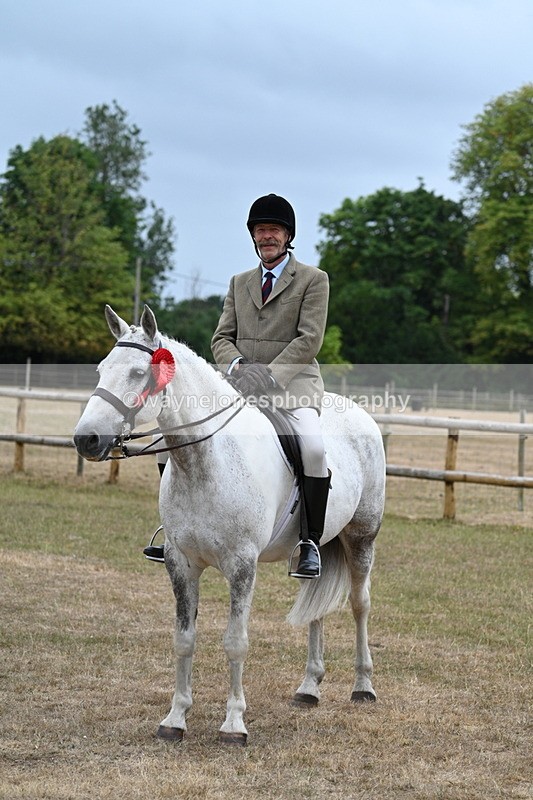 WJ7_0976 - Class 7 Riding Club Show Horse