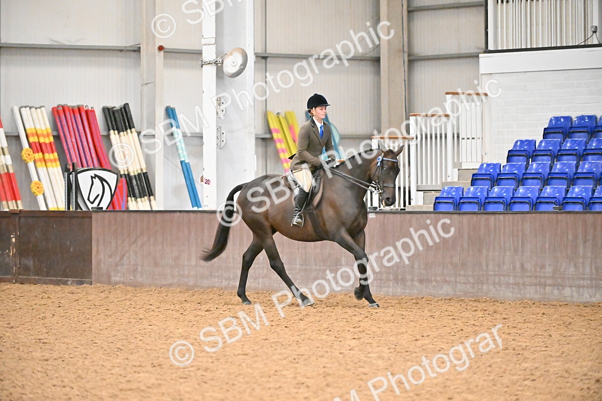 SBM_002381 - Class 22 - BSHA Ridden Hack & Riding Horse