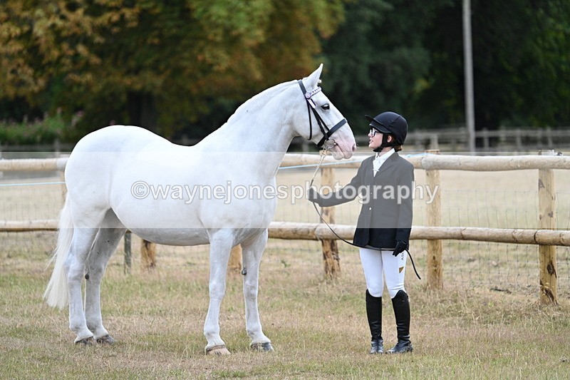 WJ7_8850 - Class 4a Prettiest Mare 14.2hh and over