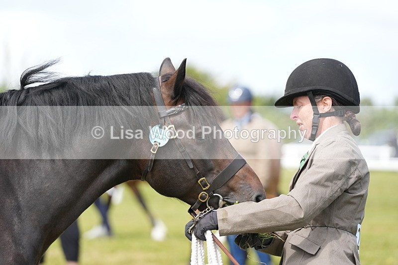 DSC05789 - Class 51: NPS M&M 4 years and over Large Breeds