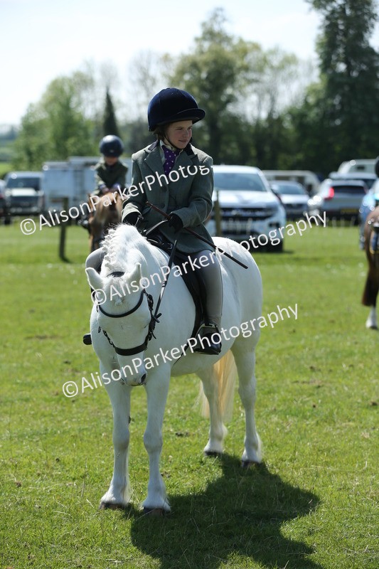 20250427-2675 - Class 6 - Pony Judge Would Most Like To Take Home