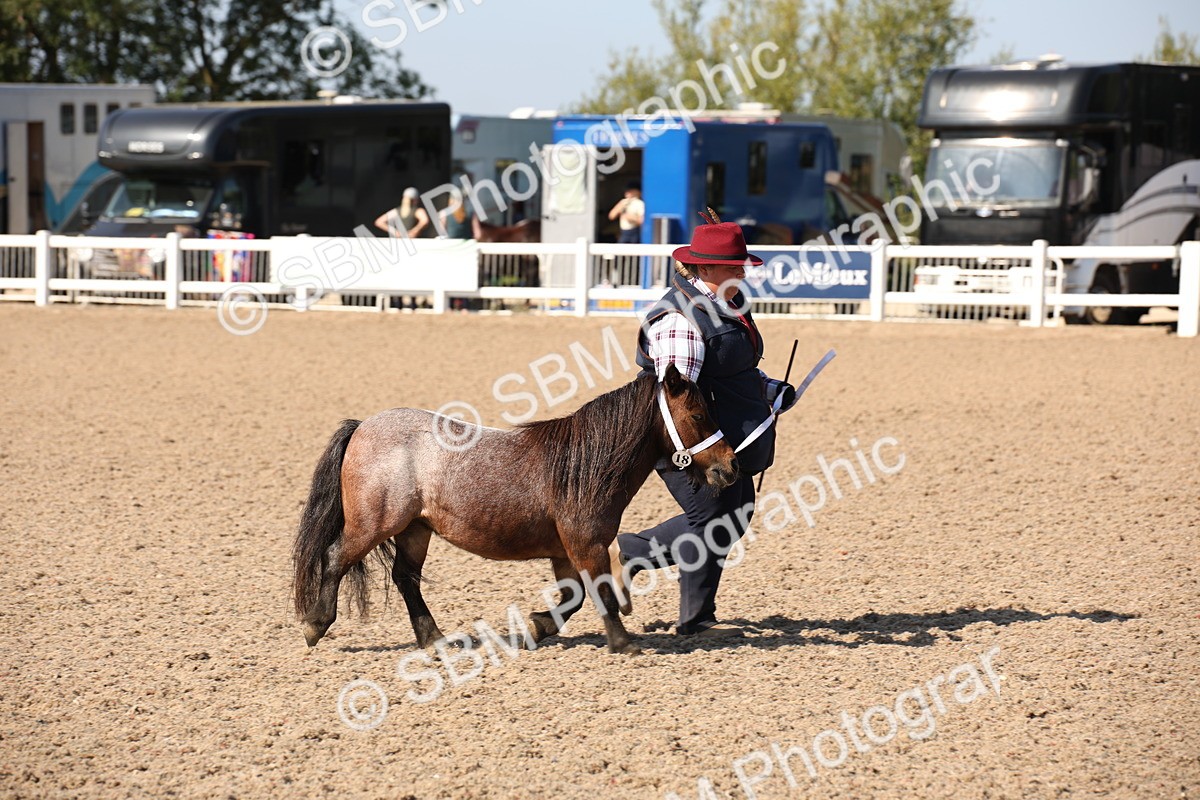 SBM_02770 - Class 16 IH M&M Wildcard