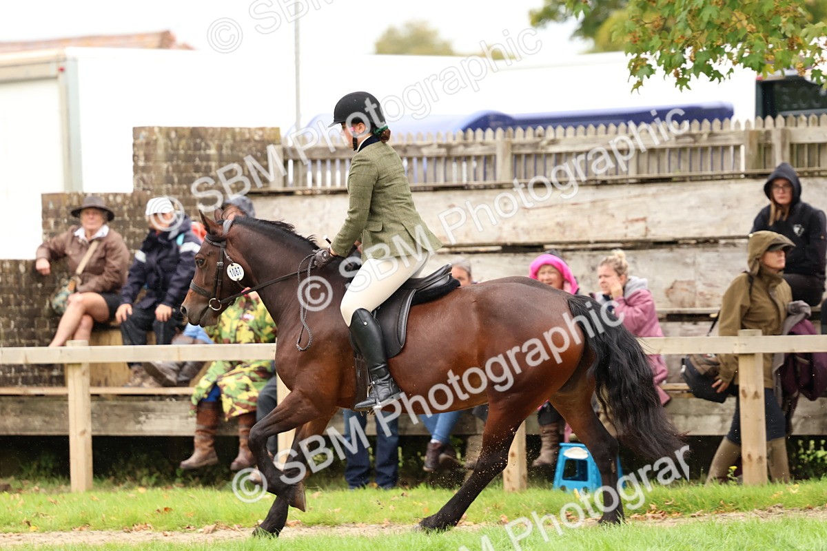 SBM_69610 - S62 - Mountain & Moorland Ridden Large Breeds
