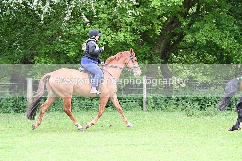 WJ7_2738 - Group 8 A&B Cameras