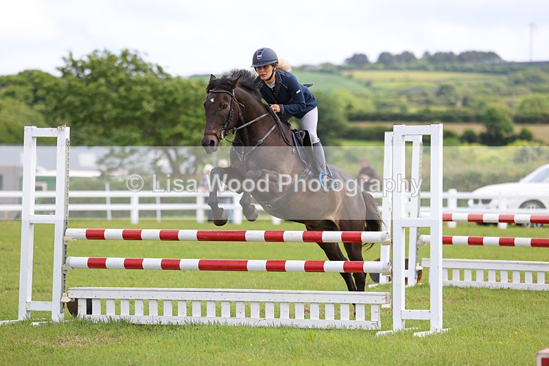 3E7A7595 - Class 13: Senior British Novice/90cm open