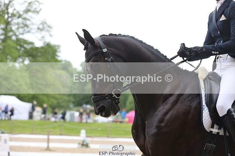 240523-094810-03217 - 209-COOLEY_DJANGO-Lottie_Royle