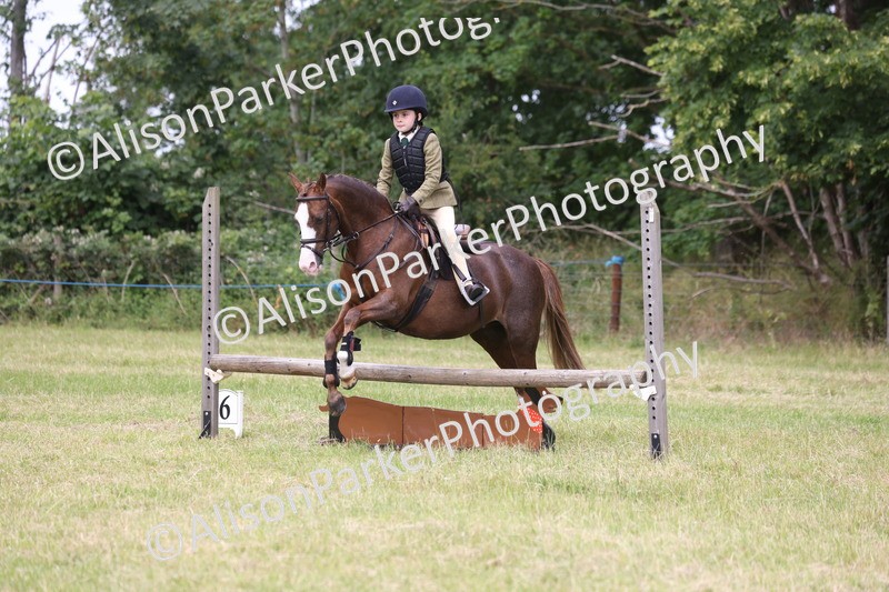 20260614-3006 - Class 22 - Open Working Hunter