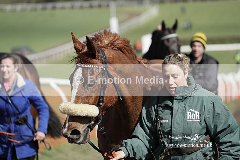 PtP 100423 676 - Old Berkshire Point-to-Point Lockinge 10/04/23