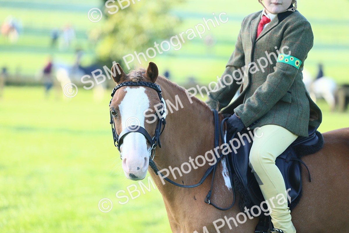 SBM_31809 - S28 - Nursery Stakes Working Hunter Pony
