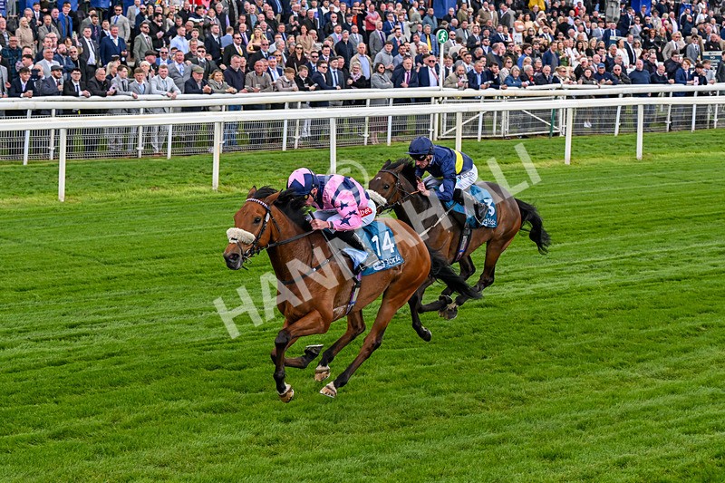 150526-Race 1-Zarathos-0060 - Race 1 1.45pm Yorkshire Equine Practice Handicap