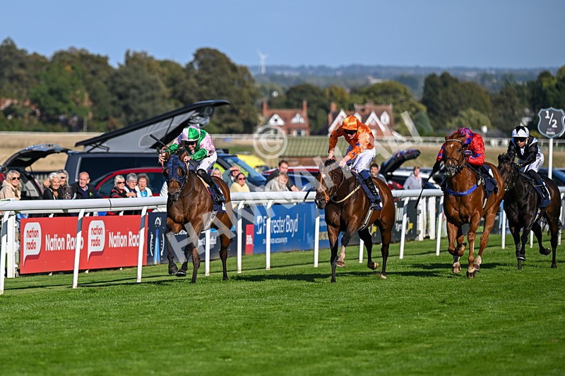 230925-Race 4-Elegant Erin-0644 - Race 4