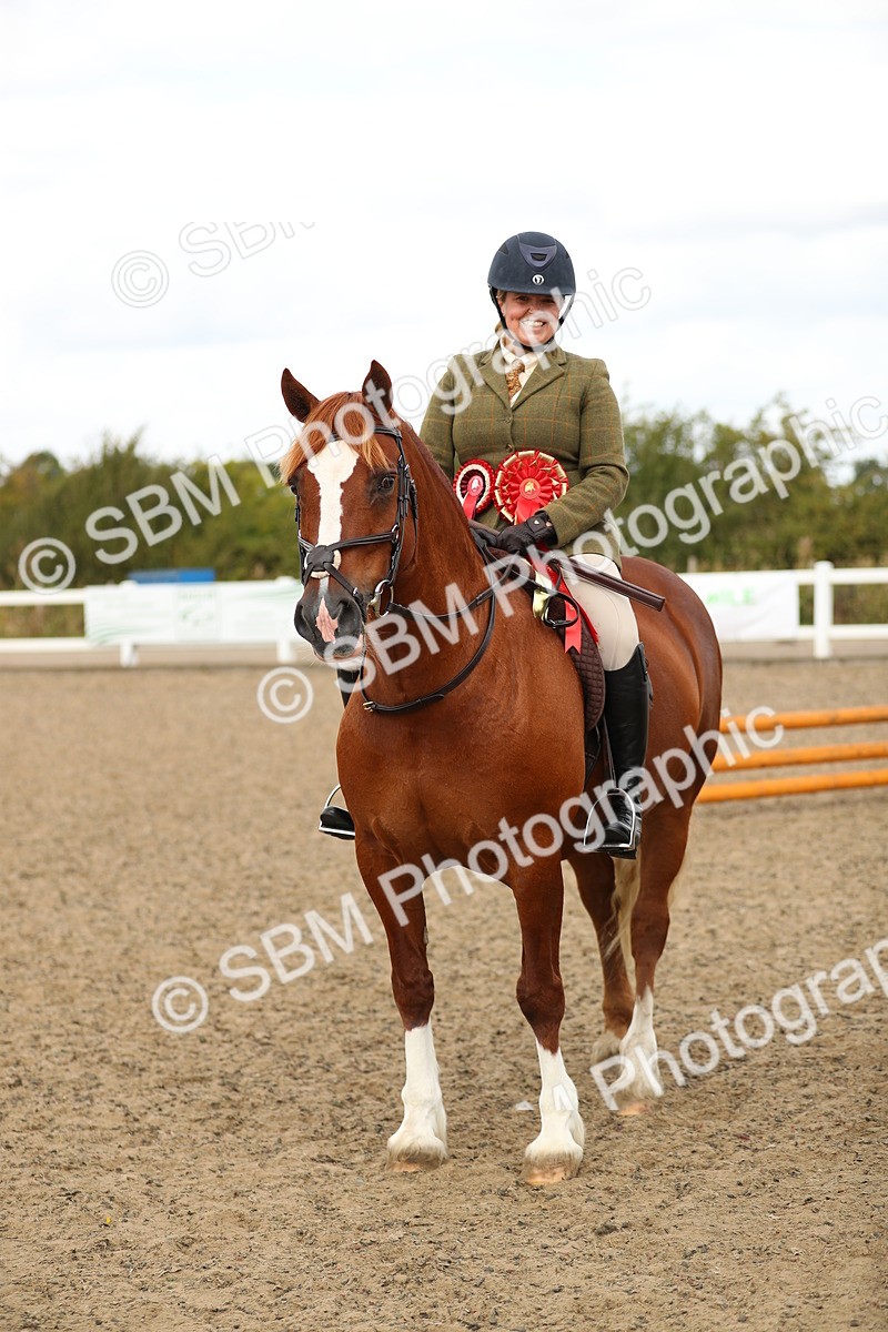 SBM_04875 - Class 47a Style & Performance 60cm (15-19)