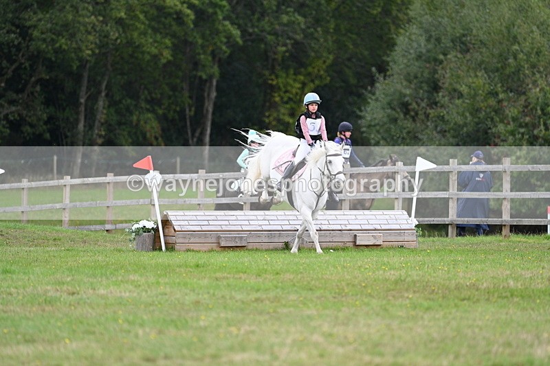 WJ7_8471 - 60cm Time 12:11 to 12:30
