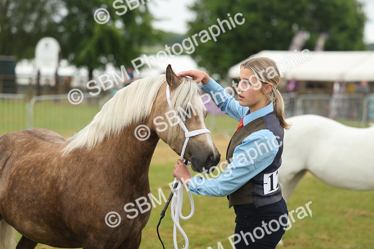 SBM_01546 - Class 50-57 - M&M Welsh Pony In Hand