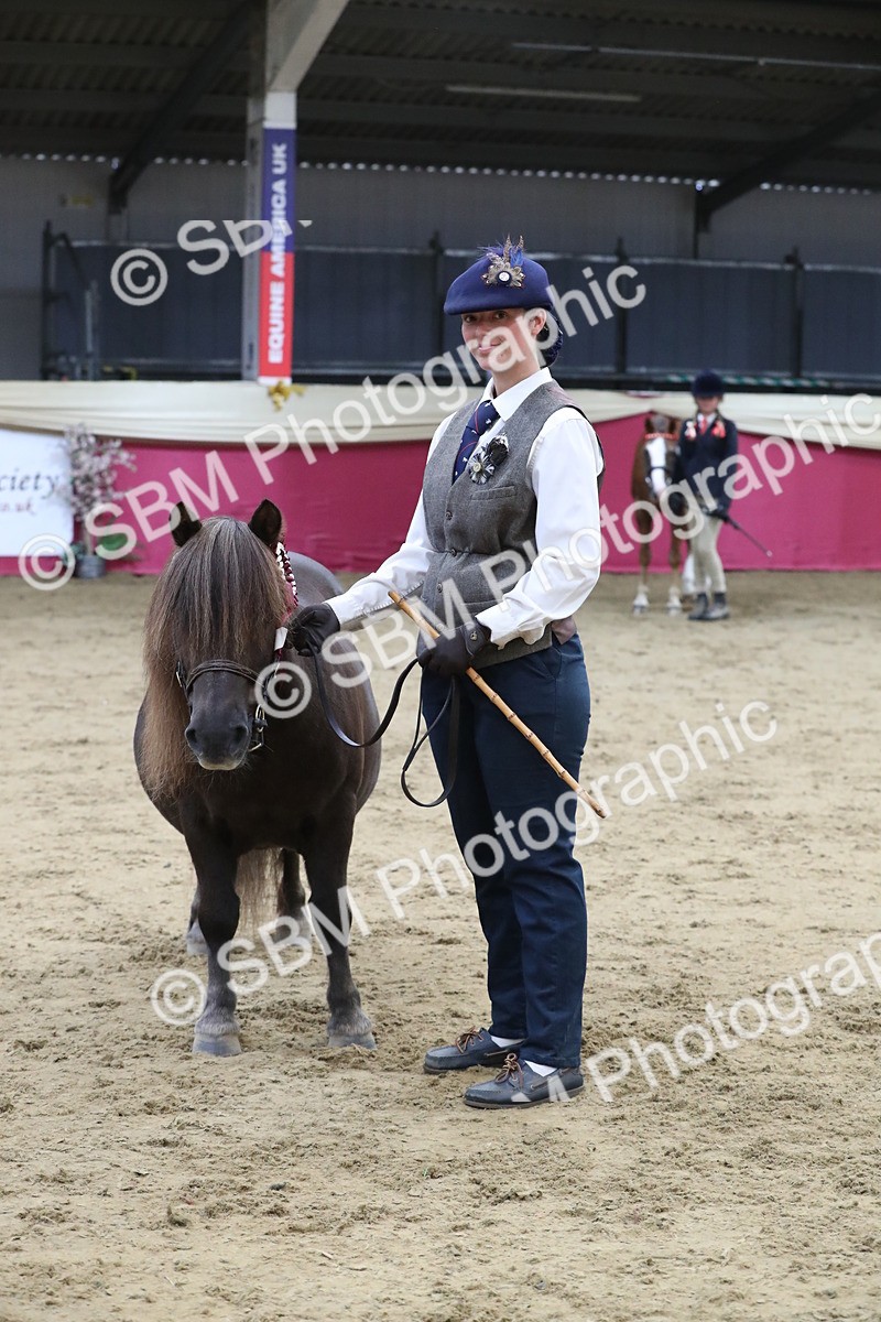 SBM_05060 - Class 8R- Regional -IH Veteran