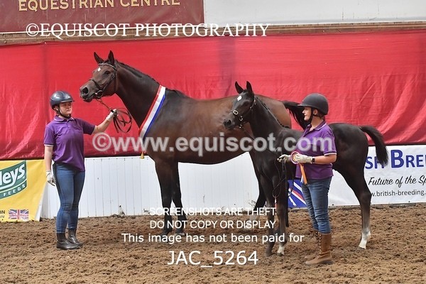 JAC_5264 - 10 Dante's Hermes ELS